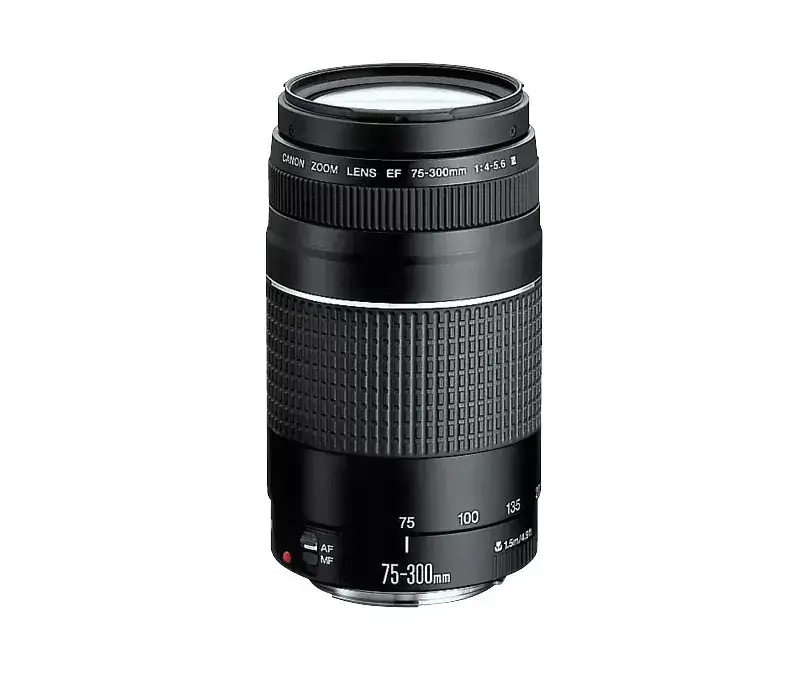 キャノンEF75-300　1：4-5.6　ⅢUSM美品 美品Canon EF 75-300mm 1:4-5.6 Ⅲ USM Canon EF 75-300mm f⁄