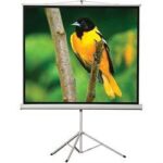 60 x 60 Portable Tripod Projection Screen