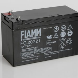 Fiamm UPS Battery
