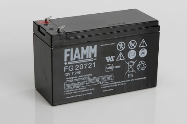 Fiamm UPS Battery
