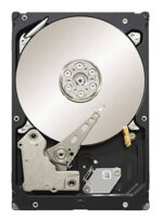 Seagate 1TB Entreprise Constellation Hard Drive