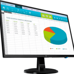 HP N246v 23.8-inch Monitor