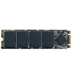 Lexar NM100 Internal SSD M.2 SATA III 2280 256GB