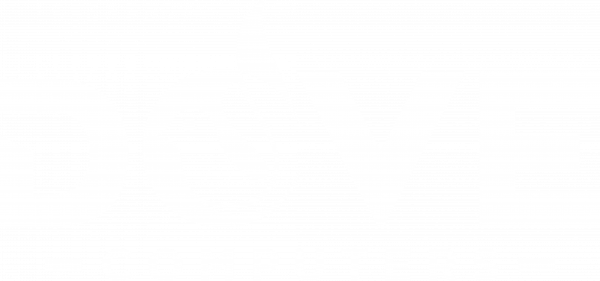 Dove Computers