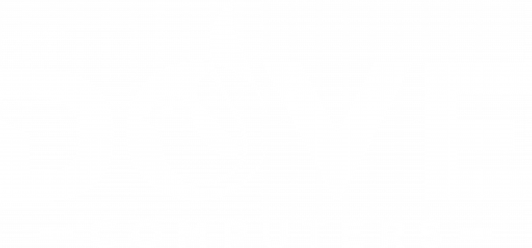 Dove Computers