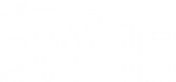 Dove-Computers Logo