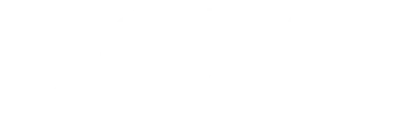 Dove-Computers Logo