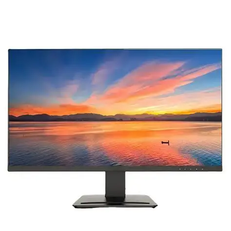 Display Monitors
